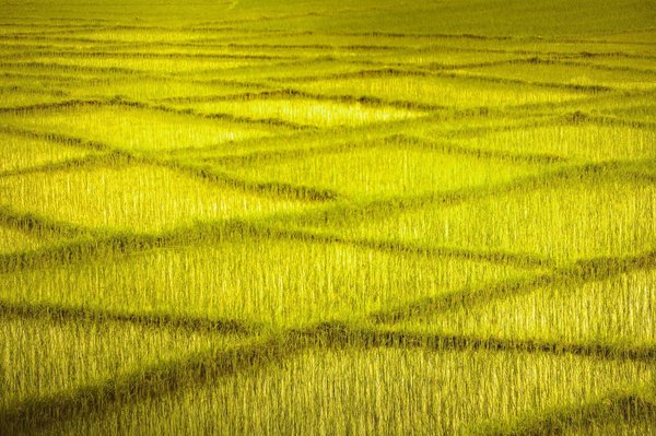 What techniques can be used to enhance the throttle response of a naturally aspirated engine in the UK?