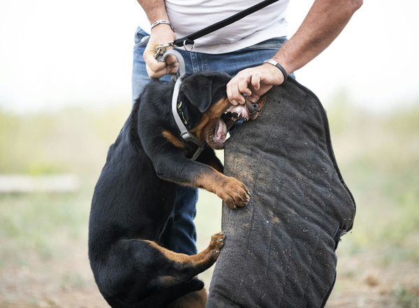 What advanced driving techniques can help avoid accidents in high-traffic UK zones?