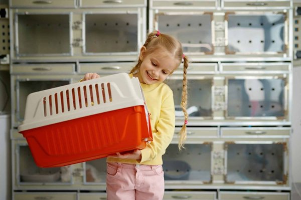 What is the best strategy for installing a roll cage in a British racing vehicle?